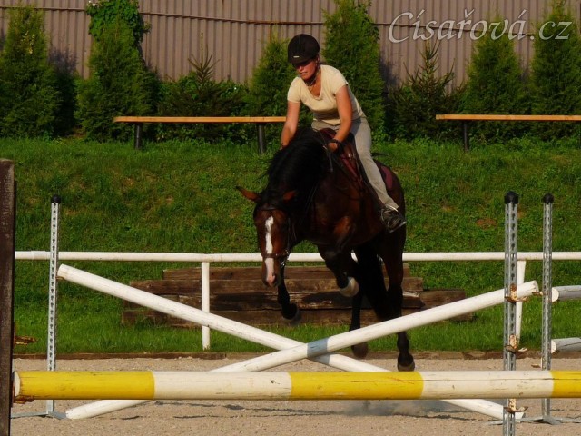 Trénink na kolbišti, srpen 2011