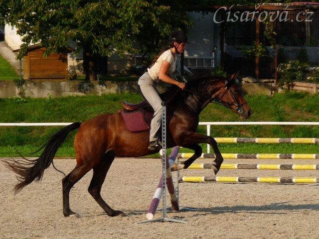 Příprava na ZZV klisen, skoková řada, srpen 2011