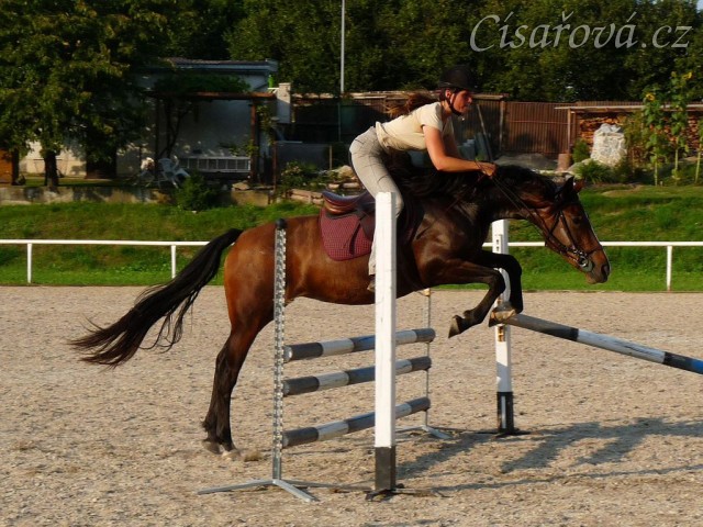 Příprava na ZZV klisen, skoková řada, srpen 2011