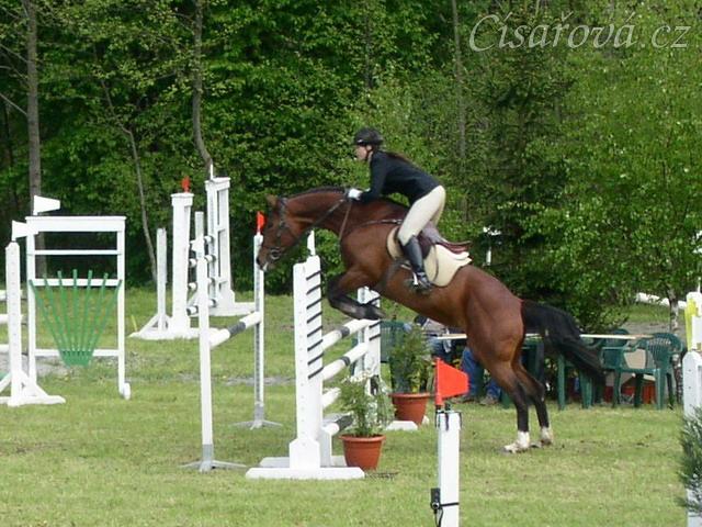 Závody v Herouticích, parkur ZL