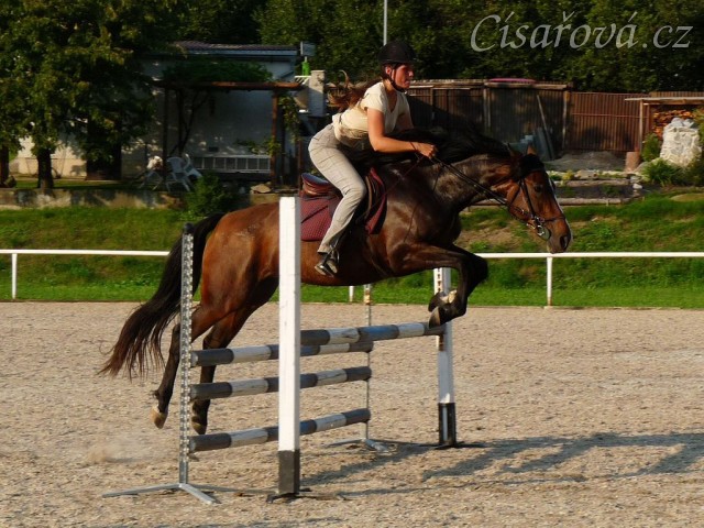 Příprava na ZZV klisen, skoková řada, srpen 2011