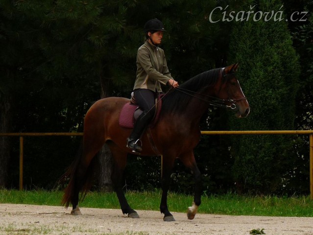 Opracování před závody, konec srpna 2011