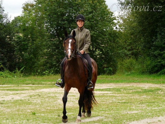 Opracování před závody, konec srpna 2011