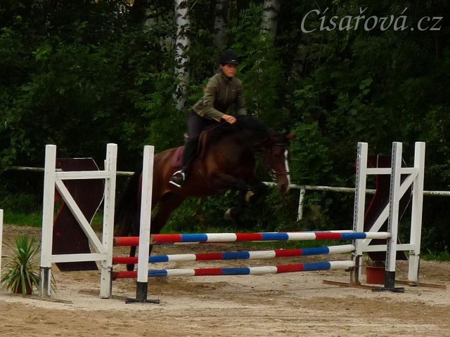 Opracování na kolbišti před závody, konec srpna 2011