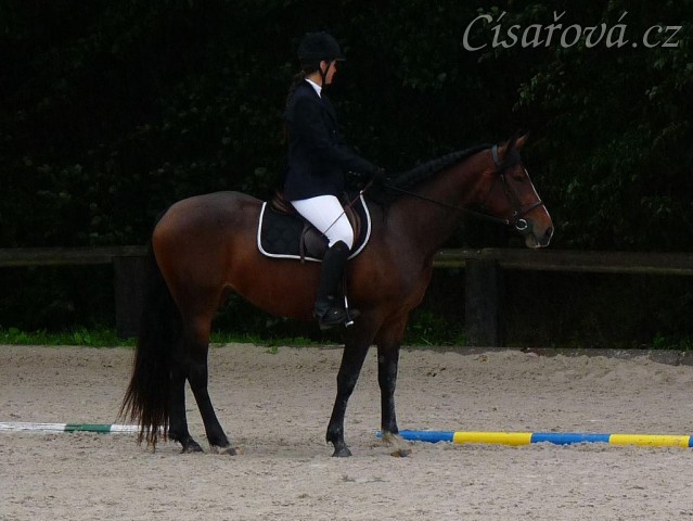 ZZV tříletých klisen, před drezurní úlohou, 7.9.2011