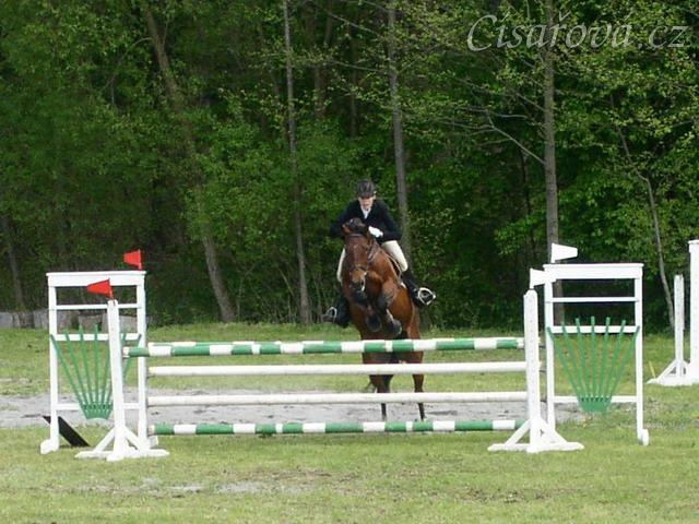 Závody v Herouticích, parkur ZL