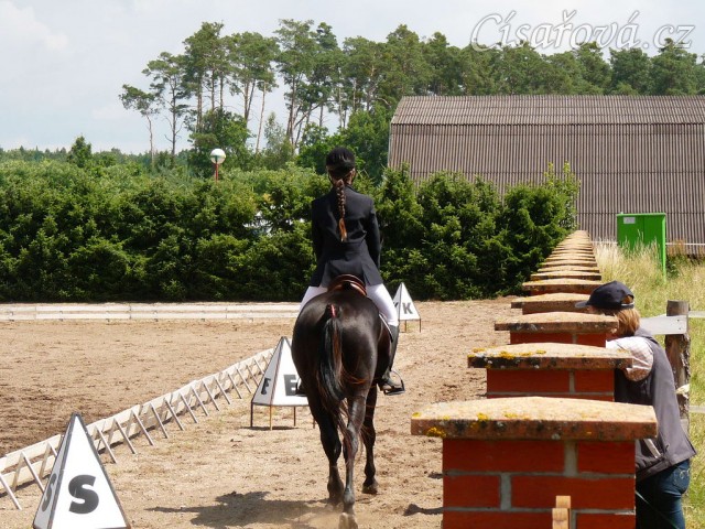 Carthago před vjezdem do drezurního obdélníku při závodech všestrannosti