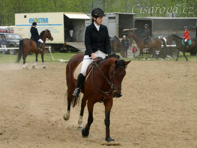 Závody v Herouticích, opracování