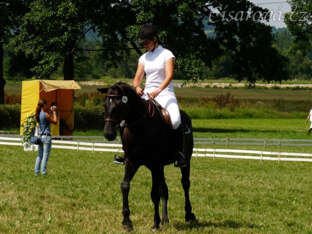 Carthago při opracování před drezurou při závodech všestrannosti stupně ZL, Humpolec 16.7.2011