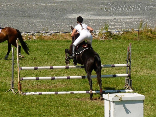 Carthago při opracování před parkurem při závodech všestrannosti stupně ZL, Humpolec 16.7.2011