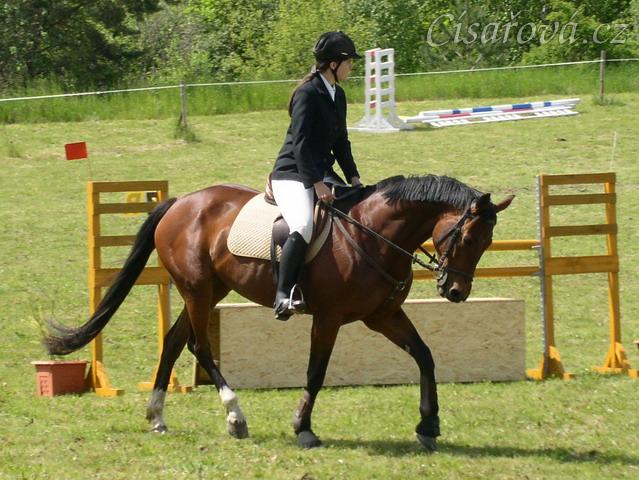 Závody na Dražce, opracování