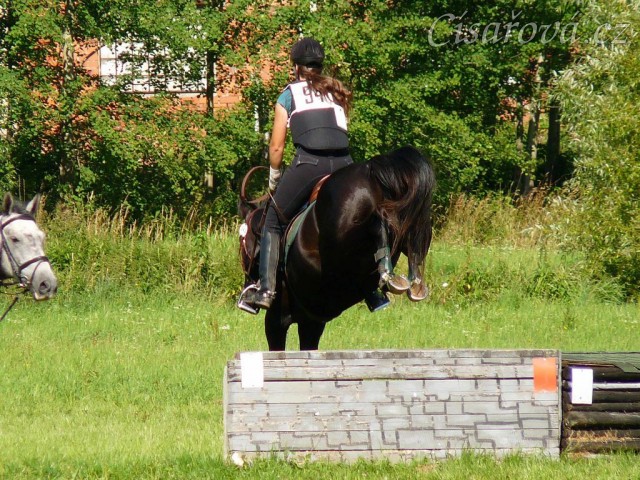 Carthago při opracování před crossem, všestrannost stupně ZL, Humpolec 17.7.2011
