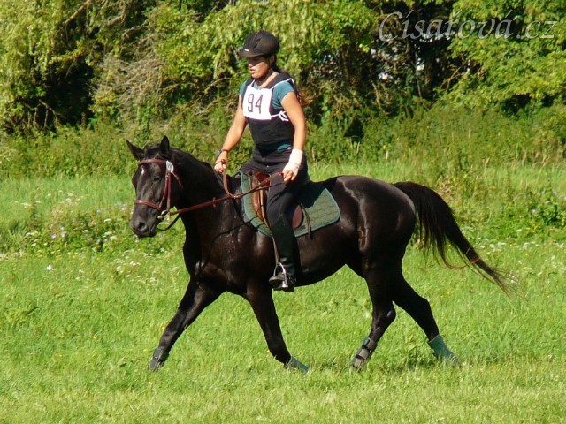 Carthago při opracování před crossem, všestrannost stupně ZL, Humpolec 17.7.2011