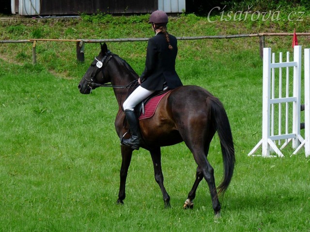 Arwen a opracování před parkurem stupně ZM, Hostouň 23.7.2011