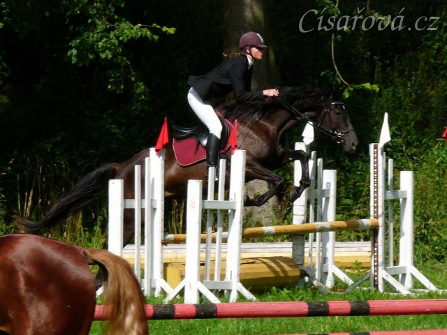 Arwen a opracování před parkurem stupně ZM, Hostouň 23.7.2011