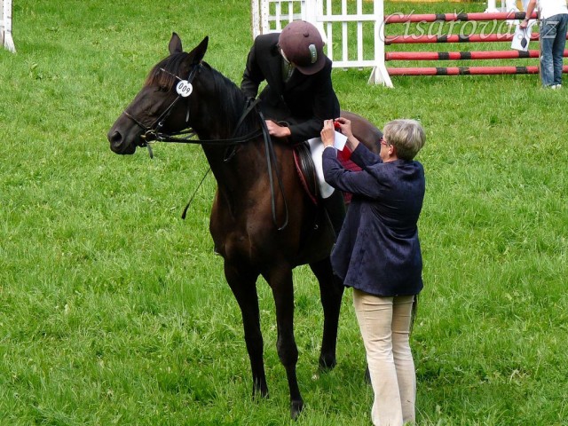 Arwen na dekorování parkuru stupně ZM, 2. místo, Hostouň 23.7.2011