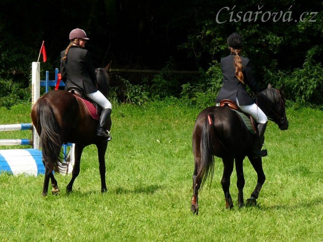 Arwen a Cartghago na dekorování parkuru stupně ZM, Hostouň 23.7.2011