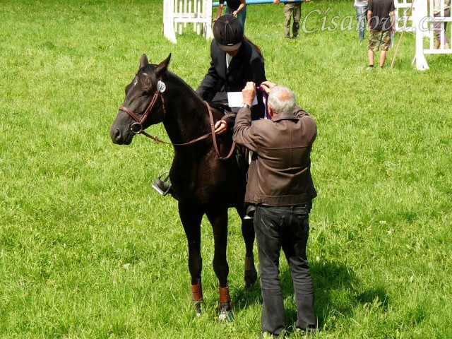 Carthago na dekorování parkuru stupně ZM, 7. místo, Hostouň 23.7.2011