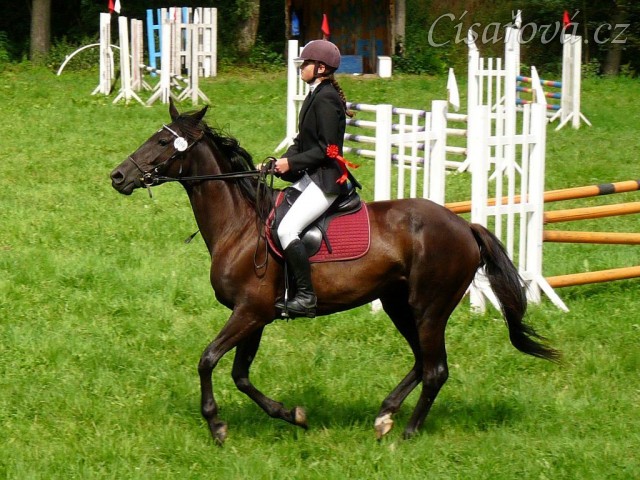 Arwen na dekorování parkuru stupně ZM, 2. místo, Hostouň 23.7.2011