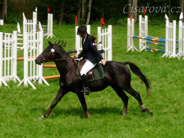 Carthago na dekorování parkuru stupně ZM, 7. místo, Hostouň 23.7.2011