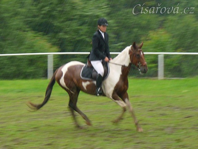 Vikina při čestném kole parkuru stupně L, 2. místo, Bernartice 30.7.2011