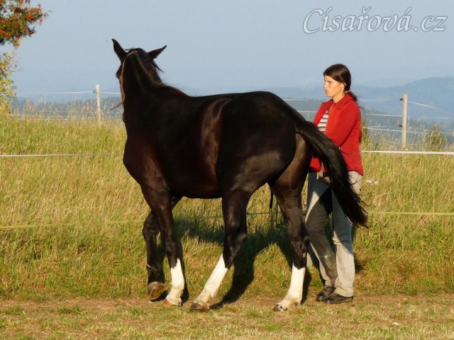 Ustupování podél ohrady neboli stranová hra