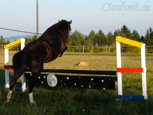 Skok přes překážku na laně