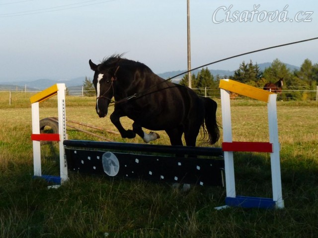 Skok přes překážku na laně