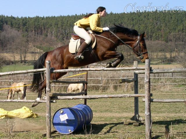 Velký skok :-) (120 x 130)