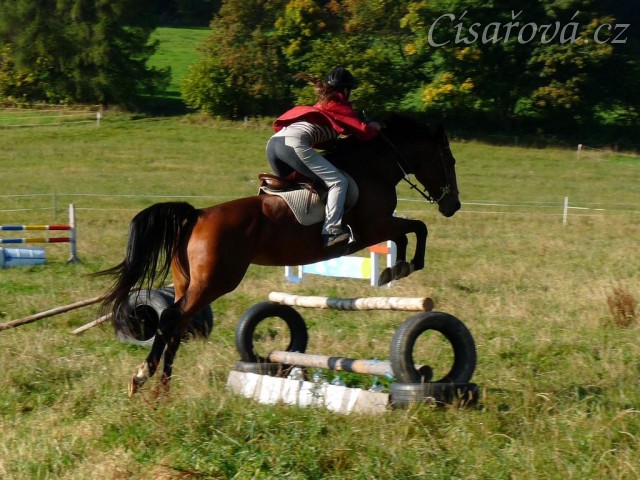 Bára při skokovém tréninku, začátek října 2011