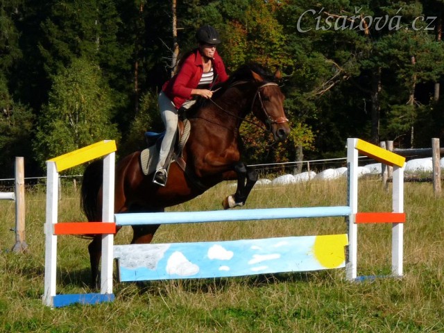 Bára při skokovém tréninku, začátek října 2011