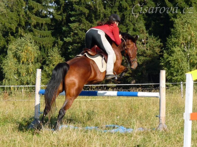 Bára při skokovém tréninku, skok přes "vodu", začátek října 2011