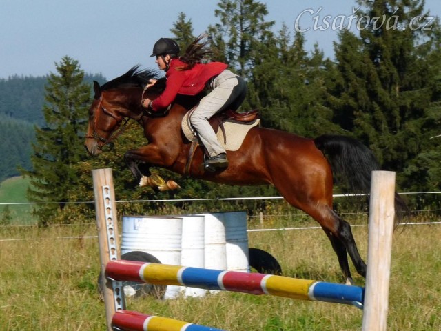 Bára při skokovém tréninku, skok přes sudy, začátek října 2011
