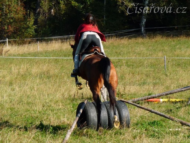 Bára při skokovém tréninku,nácvik úzkých skoků pro military, začátek října 2011