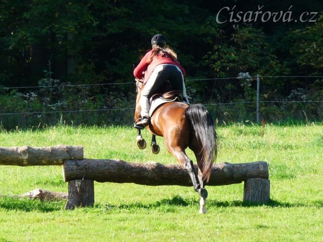 Bára při skokovém tréninku,první skoky přes terénní skoky, začátek října 2011