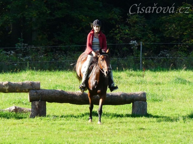 Bára při skokovém tréninku,první skoky přes terénní skoky, začátek října 2011