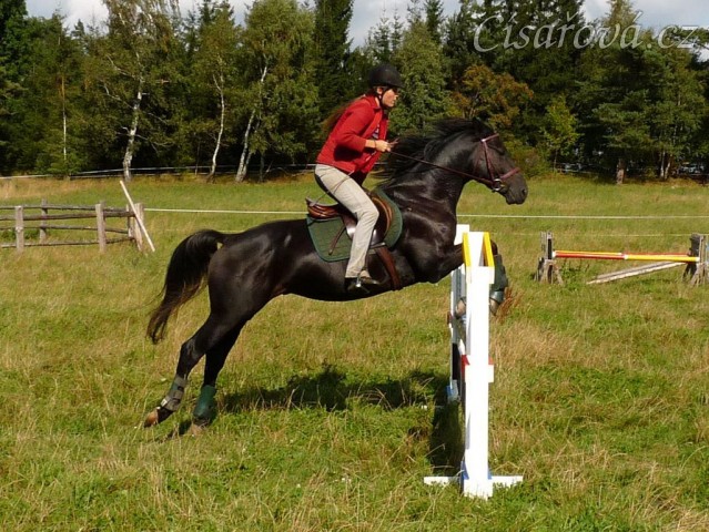 Carthago a nové stojany...