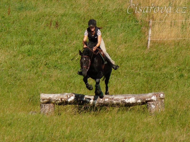 Carthago a skok přes březový oxer