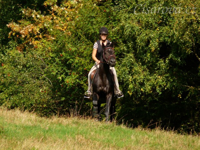 Carthago se připravuje najet na další skok