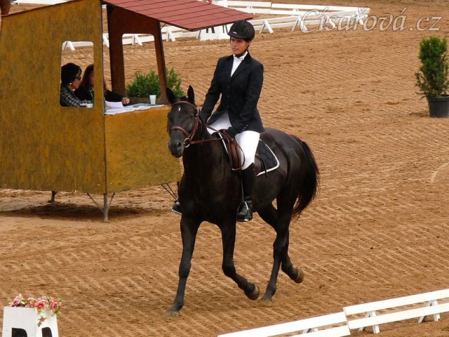 Carthago před drezurní úlohou, všestrannost Pardubice 6.8.