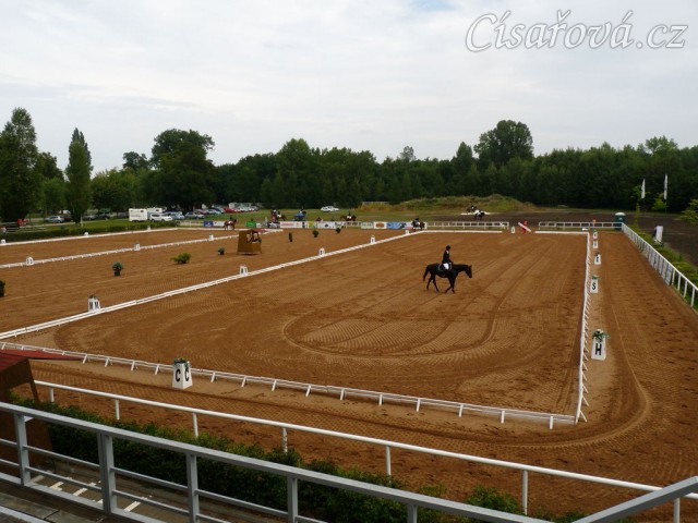Pohled na drezurní obdélníky, Carthago po drezuře, všestrannost Pardubice 6.8.