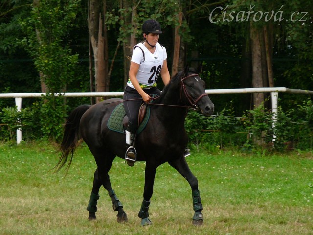 Carthago při opracování před crossem, všestrannost Pardubice 7.8.