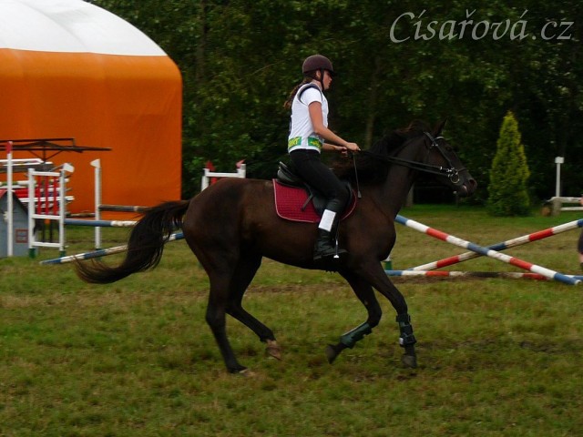 Arwen při opracování před crossem, všestrannost Pardubice 7.8.