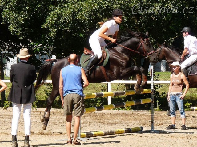 Carthago při opracování před parkurem, Klatovy 20.8.