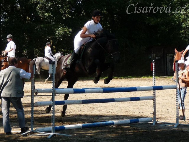 Carthago při opracování před parkurem, Klatovy 20.8.
