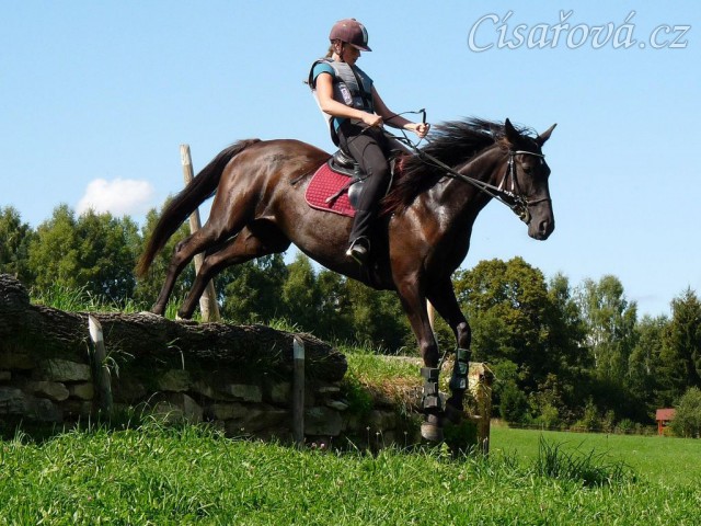 Arwen a seskok, Crossový trénink v Borové 29.8.