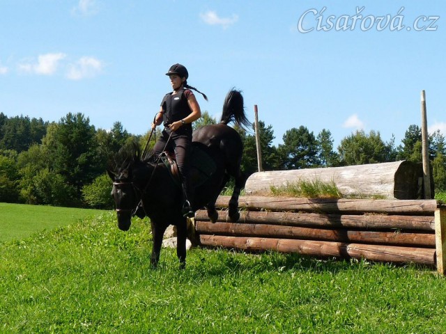 Carthago a seskok s kládou, Crossový trénink v Borové 29.8.