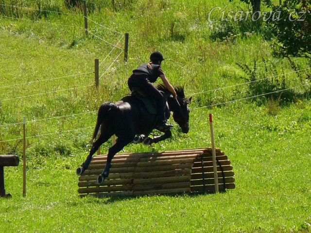 Carthago a skok přes bulfinch, Crossový trénink v Borové 29.8.
