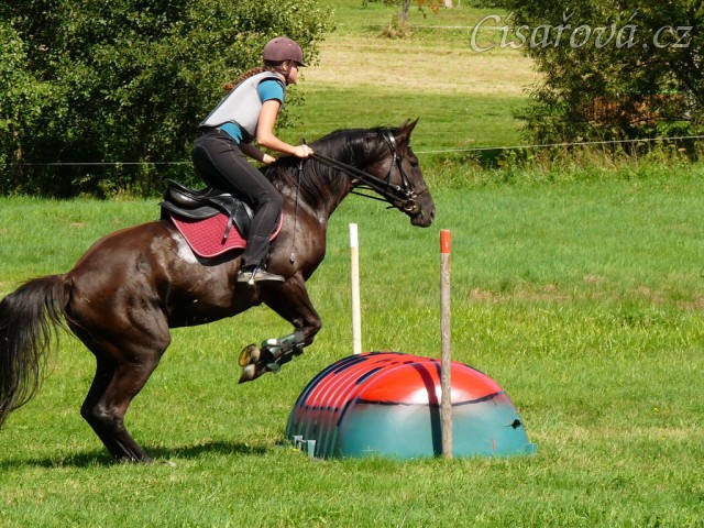 Arwen a skok přes "berušku", Crossový trénink v Borové 29.8.