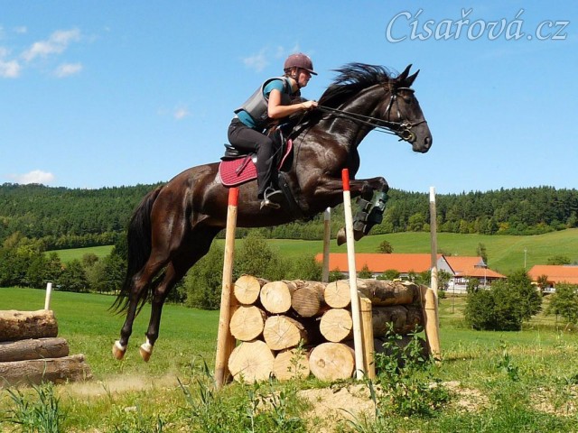 Arwen a skok přes metr dříví, Crossový trénink v Borové 29.8.